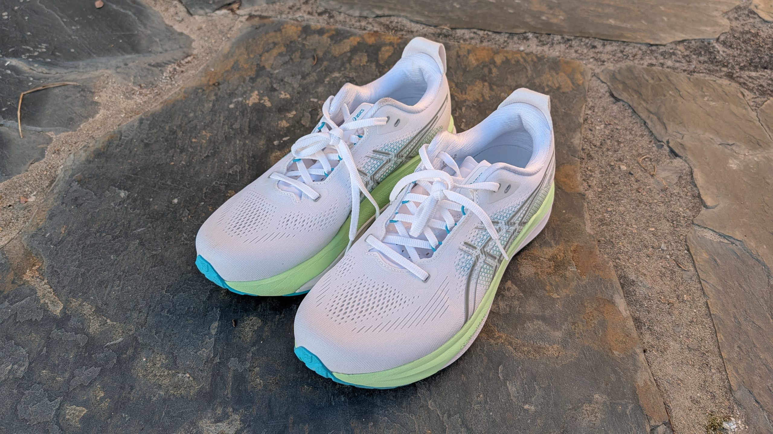 ASICS GT-2000 15 Review