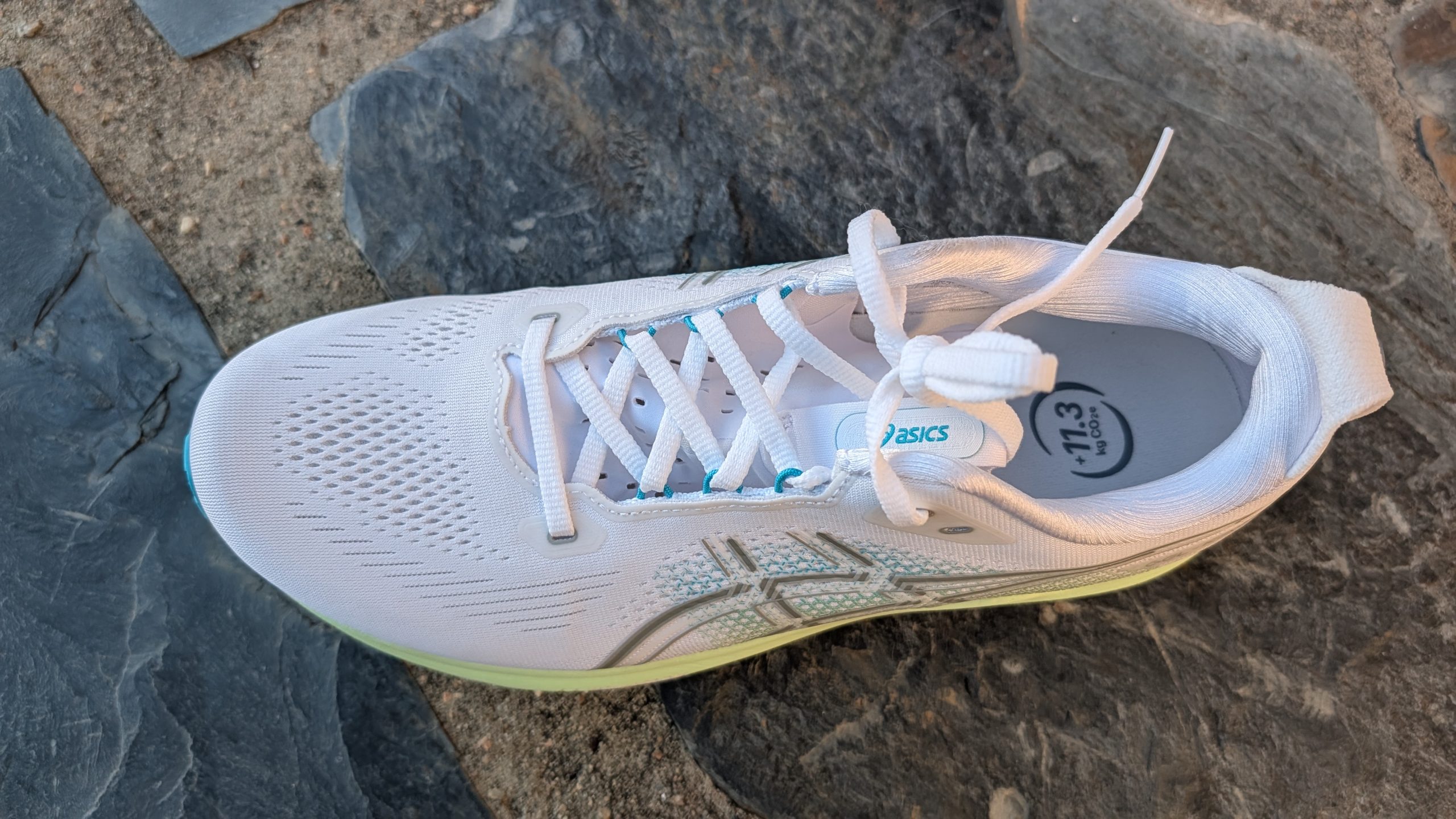 ASICS GT-2000 15 Review