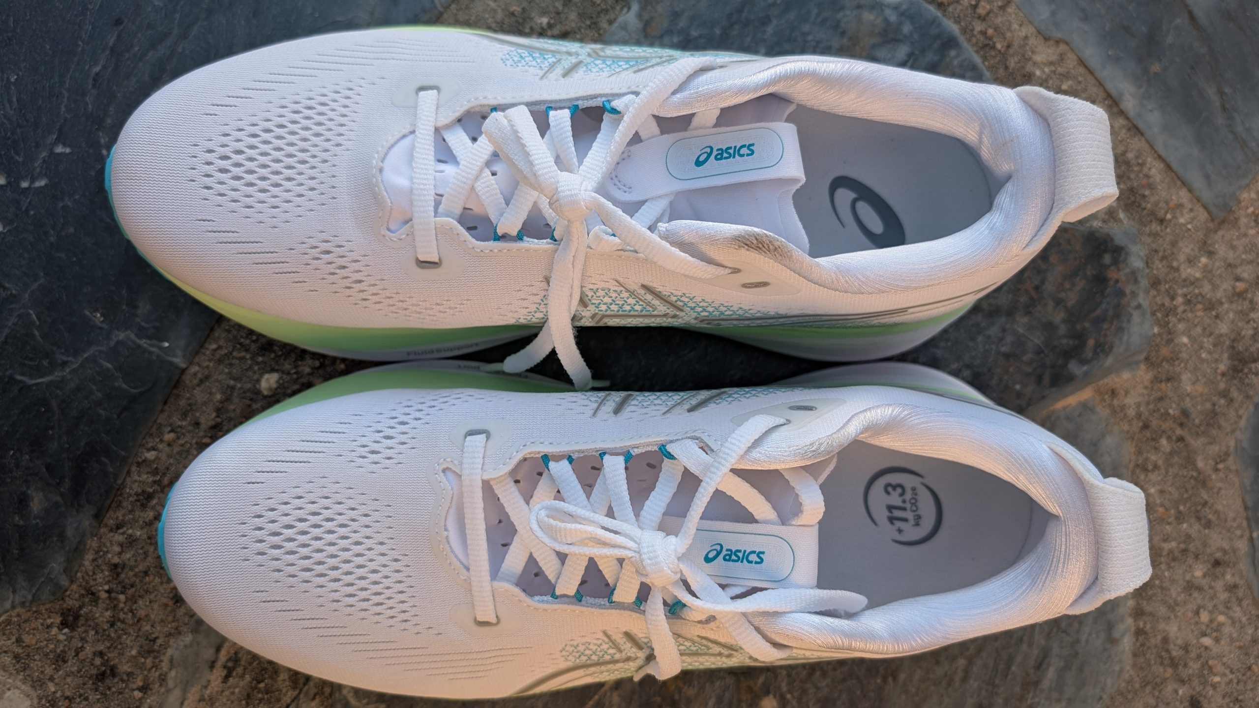 ASICS GT-2000 15
